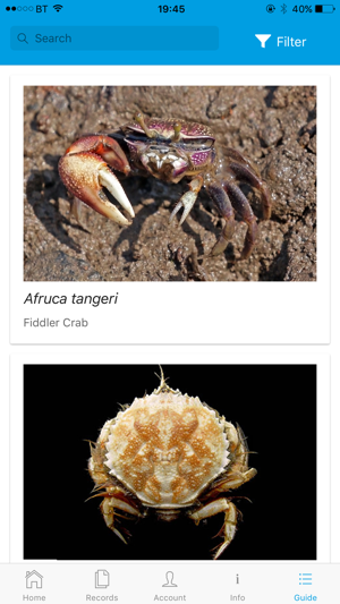 Image 1 for Crab Watch