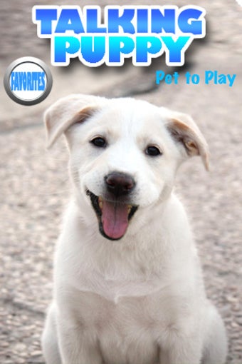 Image 0 for Talking Paul the Puppy