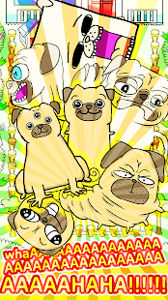 Image 0 for Pug Evolution Simulator
