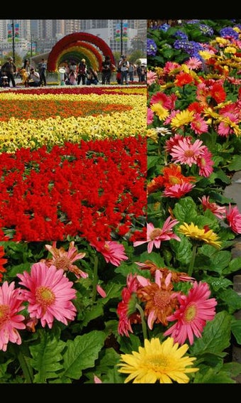 Imagen 1 para Foto Slideshow for Window…