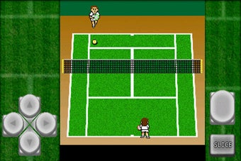Imagen 0 para Gachinko Tennis