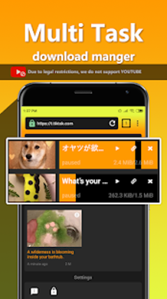 Image 3 for Free Video Downloader Pro…