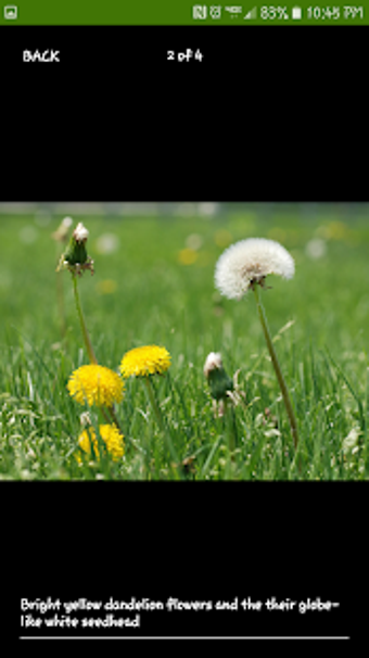 Image 0 for Purdue Turf Doctor