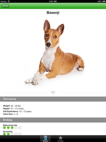 Image 3 for Dog Breed Selector