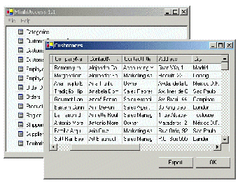Image 0 for MinhiAccess