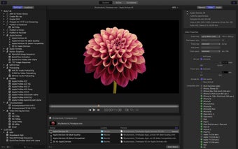 Image 0 for Apple Compressor