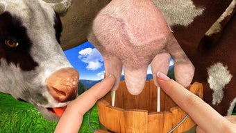 Image 0 for Cow milking