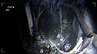Imagen 0 para Together After Dark