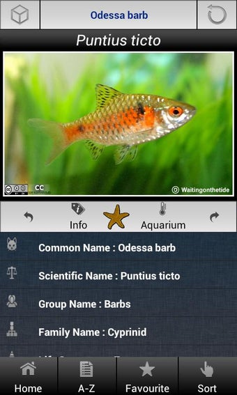 Imagen 0 para Fish World