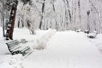 Image 0 for Winter Screensaver