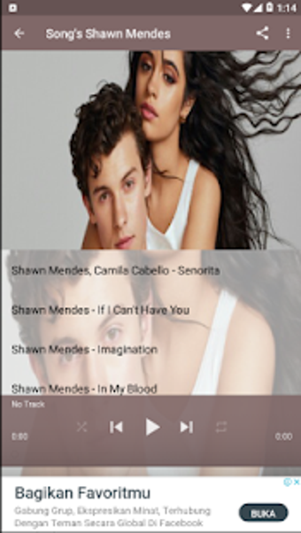 Imagen 0 para Shawn Mendes - Senorita