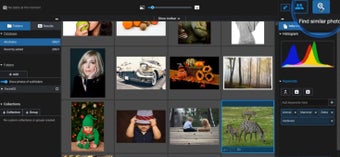 Imagen 0 para Excire Foto Light