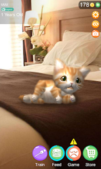 Image 0 for AR Cat