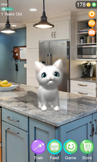 Image 0 for AR Cat