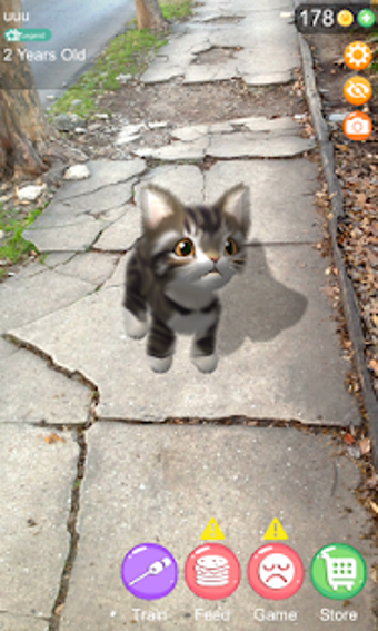 Image 1 for AR Cat