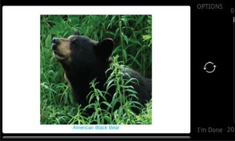 Imagen 1 para STUDYBLUE Flashcards