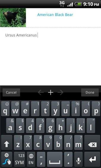 Imagen 0 para STUDYBLUE Flashcards