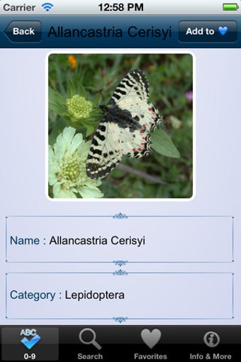 Image 6 for Atlas: Insects of World