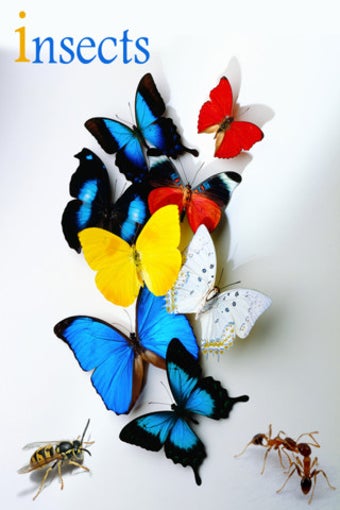 Imagen 1 para Atlas: Insects of World