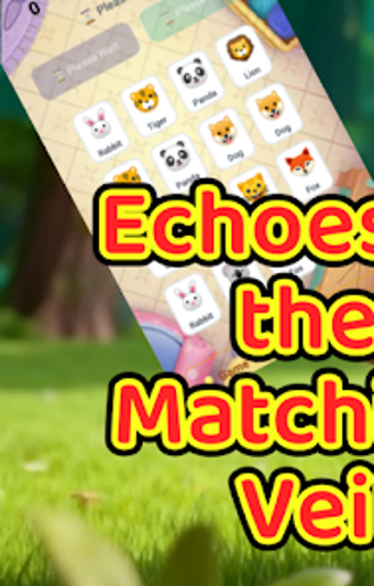 Image 0 for Echoes of the Matching Ve…