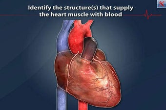 Imagen 0 para ArchieMD IC Health Corona…