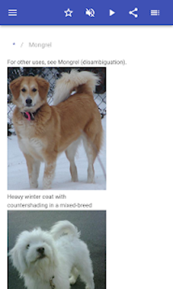 Image 2 for Dog breeds