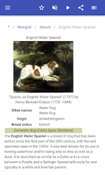 Image 3 for Dog breeds