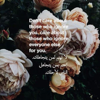 Image 3 for Beautiful Arabic Quotes a…