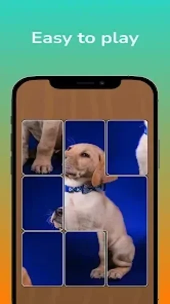 Image 0 for Jigsol Blocks