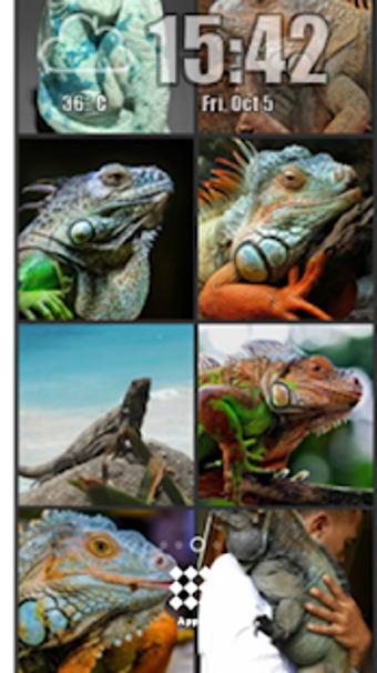 Image 0 for Iguana Wallpaper - Gudelp…