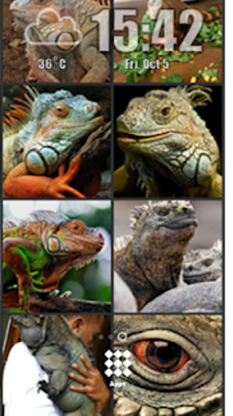 Image 3 for Iguana Wallpaper - Gudelp…