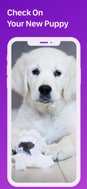 Image 2 for Pet Monitor VIGI