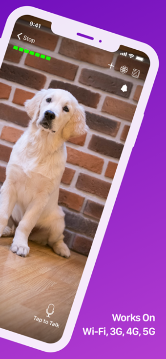 Image 0 for Pet Monitor VIGI