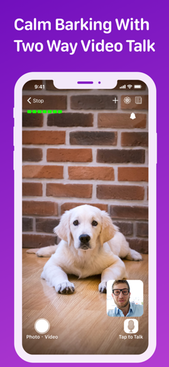 Image 1 for Pet Monitor VIGI