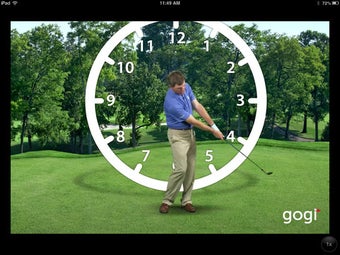 Image 0 for GOGI Swing Pro