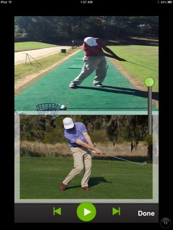 Image 6 for GOGI Swing Pro