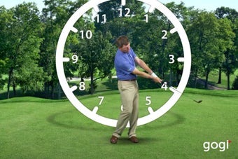 Image 1 for GOGI Swing Pro