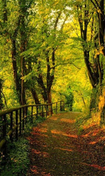 Imagen 2 para Nature Free HD Live Wallp…