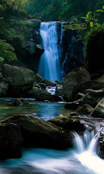 Imagen 1 para Nature Free HD Live Wallp…