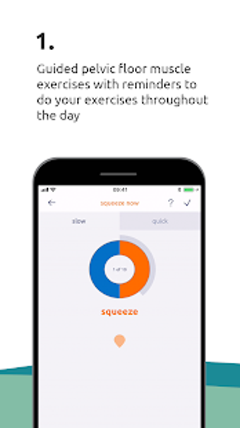 Image 2 for SqueezyCX for Pelvic Heal…