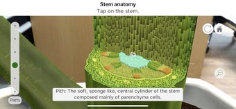 Image 1 for Plantale