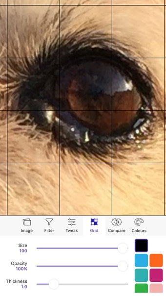 Image 0 for Arty