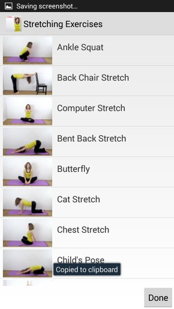 Image 11 for Stretching Exercises