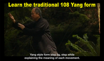 Imagen 2 para Yang Tai Chi for Beginner…