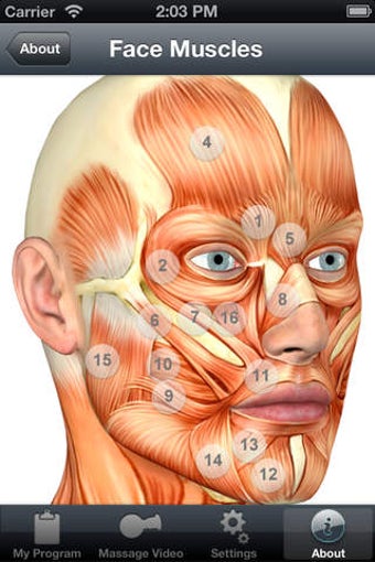 Image 0 for Men's Facial Fitness. Bea…