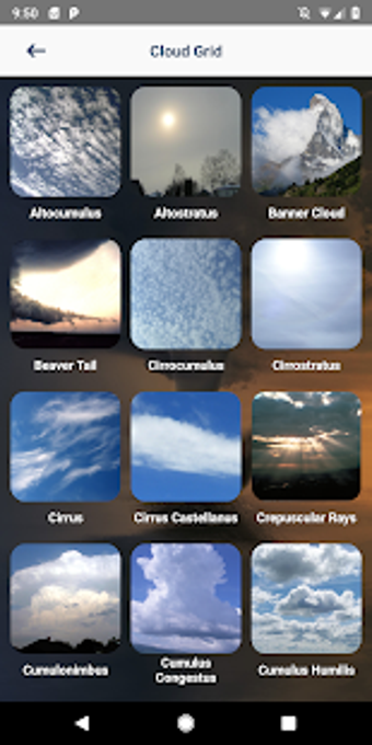 Imagen 1 para Storm Chasers