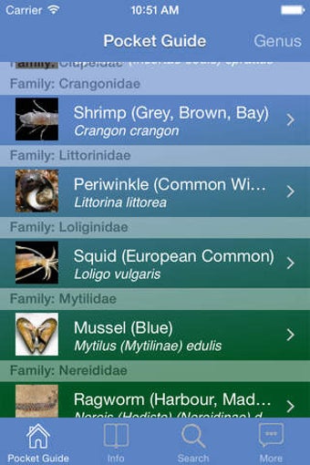 Image 0 for Pocket Guide UK Sea Fishi…