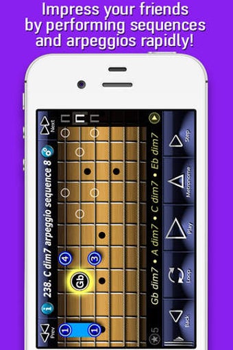 Image 0 for Economy Picking Guitar Sc…