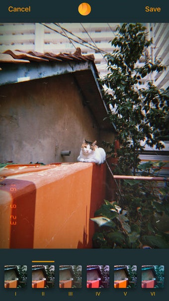 Image 1 for Dalgona