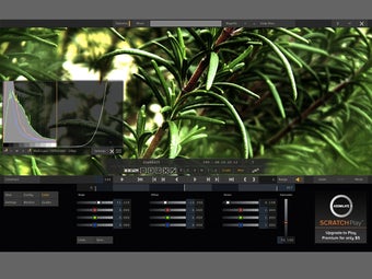 Imagen 0 para Scratch Play